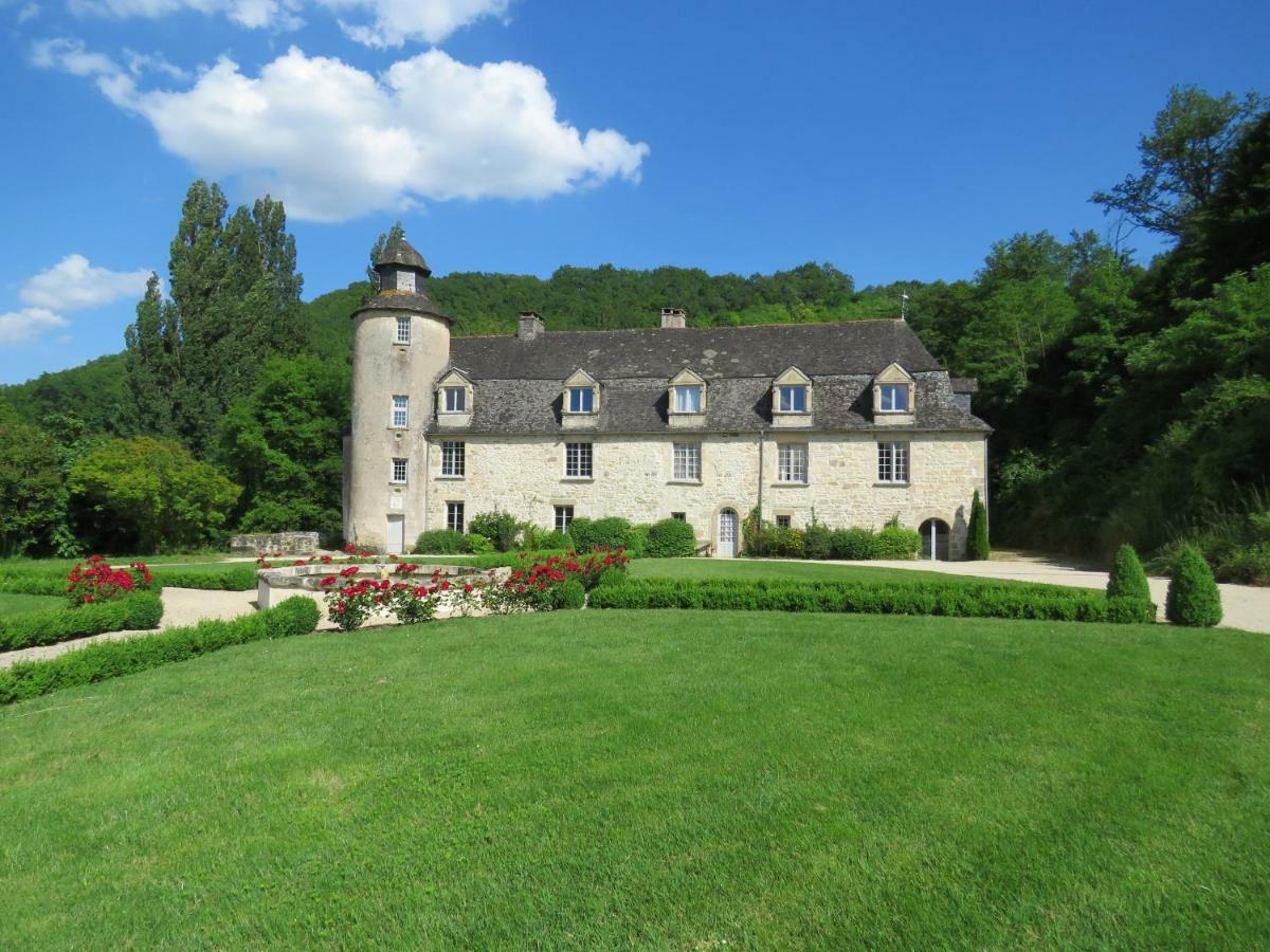 Chateau De Gaubert Bed & Breakfast Terrasson-Lavilledieu Exterior photo