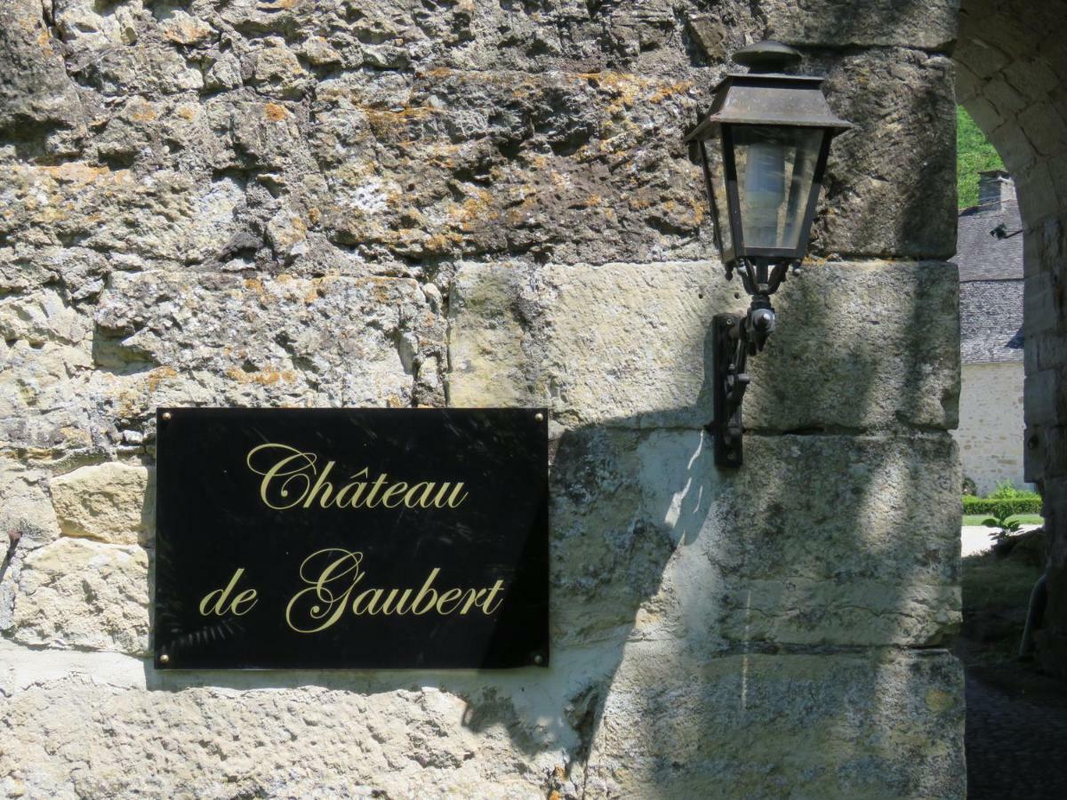 Chateau De Gaubert Bed & Breakfast Terrasson-Lavilledieu Exterior photo